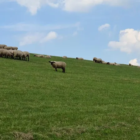 Haus Hygge Feriehus *